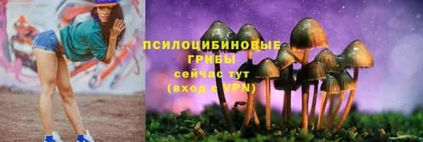 a pvp Абдулино