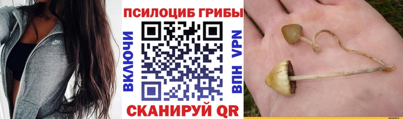кракен рабочий сайт  Сольцы  Галлюциногенные грибы Cubensis 