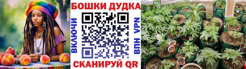 МАРИХУАНА LSD WEED  Сольцы 
